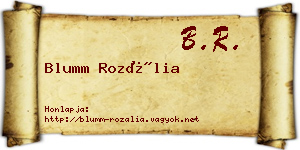 Blumm Rozália névjegykártya